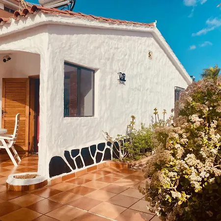 Holiday Bungalow With Terrace In Ferienhaus